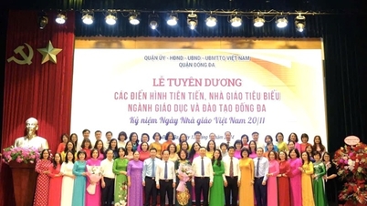 Dong Da District Department of Education and Training honors exemplary teachers