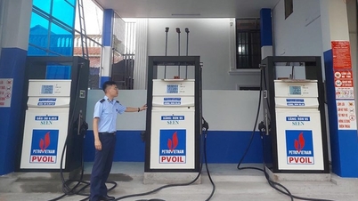 Penalty for petroleum business enterprises in Nam Dinh