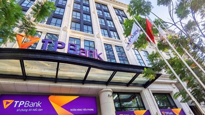 TPBank는 The Asian Banker로부터 베트남의 선도적인 강력한 은행으로 선정되었습니다.