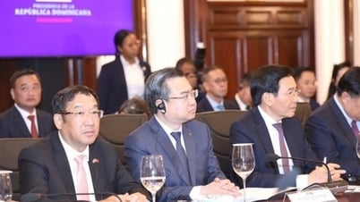 Đề nghị tạo điều kiện để doanh nghiệp Việt Nam thực hiện các công trình dân dụng, công nghiệp và năng lượng tại Dominica