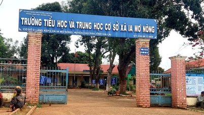 Giáo viên thuê người dạy thay nói gì?