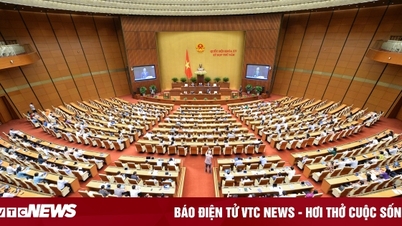 Quốc hội đề nghị không bãi bỏ các hình thức, phương thức lựa chọn nhà thầu
