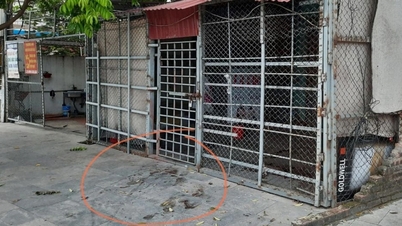 Arrested 5 suspects in the murder of a female cafe employee
