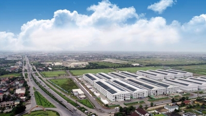 Cần 'xanh hóa' khu công nghiệp để gia tăng sức hút với dòng vốn FDI