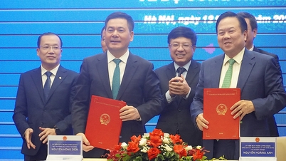 Chuyển giao công ty có vốn điều lệ 776 tỉ vận hành thị trường điện về Bộ Công Thương