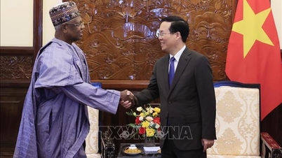 President Vo Van Thuong receives Nigerian Ambassador