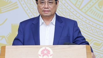 ការផ្លាស់ប្តូរឌីជីថលបានមកដល់ "គ្រប់ផ្លូវ គ្រប់ផ្ទះ គ្រប់មនុស្ស"