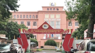 Tăng cường xử lý tài sản, trụ sở làm việc của cơ quan, tổ chức ở các đơn vị hành chính đã sắp xếp