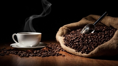 Giá cà phê robusta tiếp tục lập đỉnh, Fed không quá "diều hâu"; cây cà phê Việt Nam có thể tiếp tục cạnh tranh?