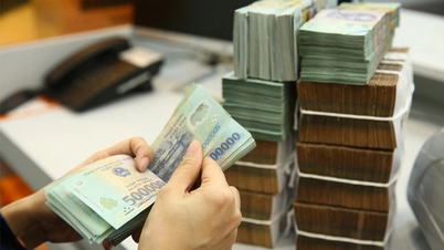 ยกเลิกมติของนายกรัฐมนตรีในด้านการเงินที่ดินบางส่วนและทั้งหมด