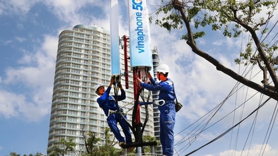 VNPT owns "huge" frequency band, paving the way for 5G network