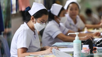 Tet bonuses of many doctors and nurses increased