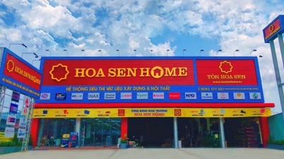 Hoa Sen គ្រោងនឹងរកបានប្រាក់ចំណេញអប្បបរមាចំនួន 400 ពាន់លានដុងក្នុងឆ្នាំសារពើពន្ធ 2023-2024
