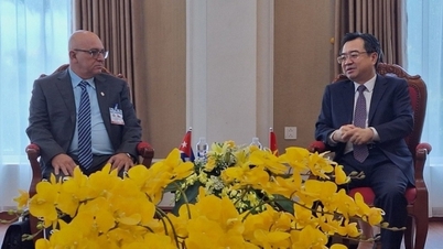 Vietnam-Cuba promote cooperation in construction sector