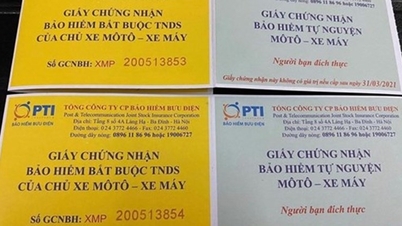 Giật mình với doanh thu cực lớn từ bảo hiểm xe cơ giới