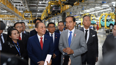 Tổng thống Indonesia thăm nhà máy VinFast Hải Phòng