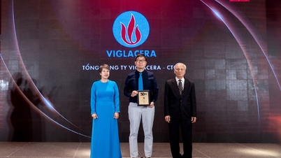 Viglacera được vinh danh “Top 50 Công ty Kinh doanh Hiệu quả nhất Việt Nam 2024” và “Bất động sản tiêu biểu 2024”