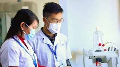 The highest floor score of Ho Chi Minh City University of Medicine and Pharmacy in 2024 is 24