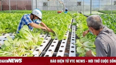 Tháo gỡ vướng mắc tín dụng, đưa kinh tế hợp tác xã phát triển bền vững