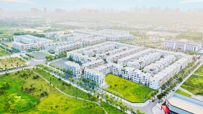 Hà Nội phải sử dụng kiểm toán để xử lý dự án tỷ USD của Bitexco