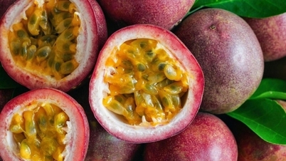 Australien „behält ein Auge“ auf vietnamesische Passionsfrüchte; Ministerium für Industrie und Handel untersucht Betrugsverdacht in den VAE