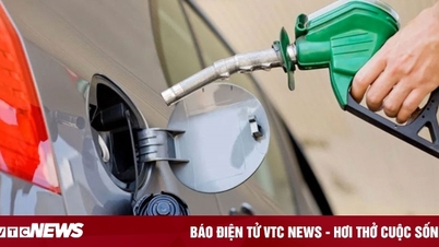 Giá xăng dầu hôm nay 20/10: Thế giới tiếp tục giảm sâu