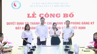 Re-establishment of Lao Cai City Land Registration Office Branch