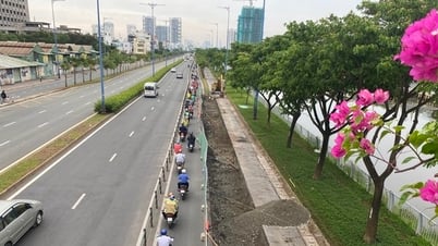 Close-up of the most beautiful avenue in Ho Chi Minh City being expanded
