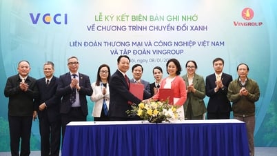 VCCI and Vingroup cooperate comprehensively to promote green transformation