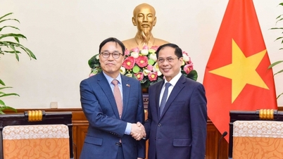 រដ្ឋមន្ត្រីការបរទេស Bui Thanh Son ទទួលជួបឯកអគ្គរដ្ឋទូតកូរ៉េ Choi Young Sam