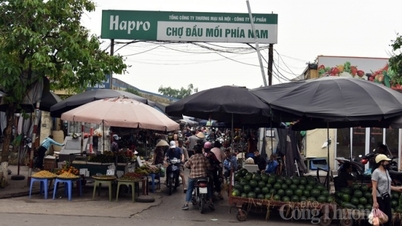 កម្លាំង​ទិញ​នៅ​ផ្សារ​លក់​ដុំ​ភាគ​ខាង​ត្បូង​ក្រុង​ហាណូយ​បាន​ធ្លាក់​ចុះ​យ៉ាង​ខ្លាំង។