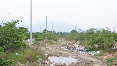 Lien Chieu responds to complaints about the decision to adjust the planning of the New Danang City Project