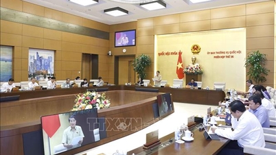 The National Assembly Standing Committee gives opinions on the draft Law on Technical Standards and Regulations (amended)