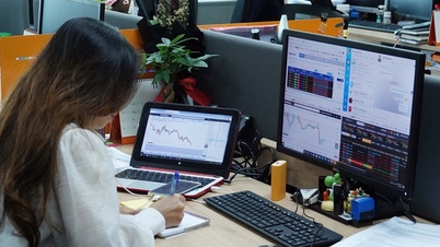 3 cổ phiếu 'họ' Apec được giải cứu thành công