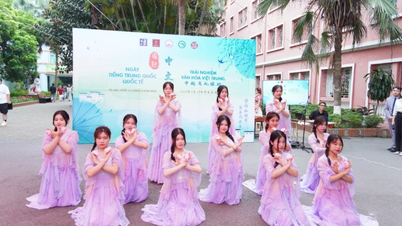 International Chinese Language Day 2024 and Chinese Cultural Experience Activities