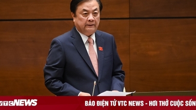 Có tình trạng cố tình đẩy giá gạo cao bất hợp lý
