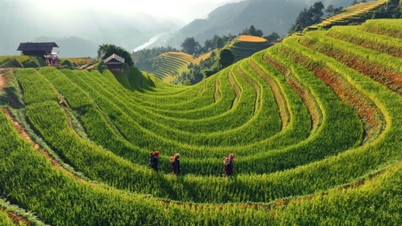Mu Cang Chai – Mu Cang Chai – Escaleras al cielo