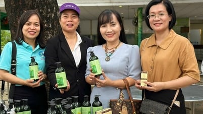 Diverse activities to support members and women starting businesses