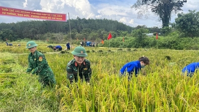 Xã biên giới Ia Đal lãnh đạo phát triển kinh tế, tạo "đòn bẩy" xây dựng nông thôn mới