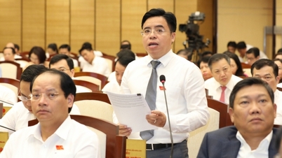 Hà Nội khó thu hút nhà đầu tư vào khu giết mổ tập trung