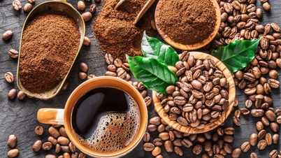 Giá trị văn hóa từ hạt cà phê