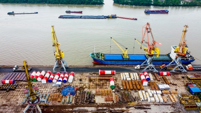 Một doanh nghiệp cảng biển ở Hải Phòng thưởng Tết gần 500 triệu đồng