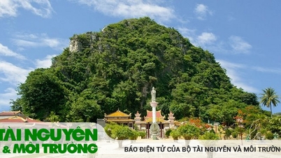 Phật giáo Đà Nẵng bảo vệ môi trường