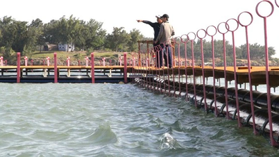 ចាប់ដាក់ទ្រុងមឹកពាក់កណ្តាលធម្មជាតិដ៏ធំបំផុតនៅប្រទេសវៀតណាមដោយជោគជ័យ
