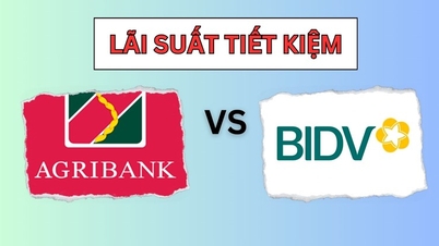 Have 1 billion VND to deposit for 12 months at BIDV or Agribank to receive high interest rate
