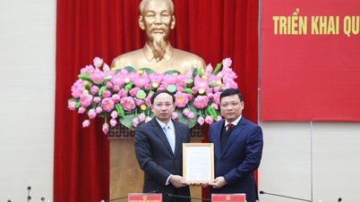 Approval of Uong Bi City Party Secretary as Vice Chairman of Quang Ninh