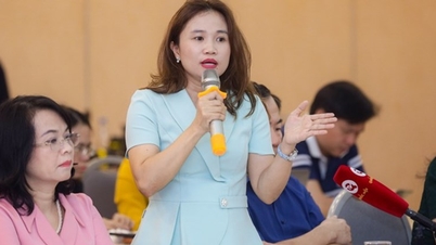 កង្វល់ជាច្រើនអំពីសេចក្តីព្រាងច្បាប់ស្តីពីពន្ធលើការប្រើប្រាស់ពិសេសដែលបានកែសម្រួល