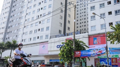 Concerns about apartment ownership and social housing pricing