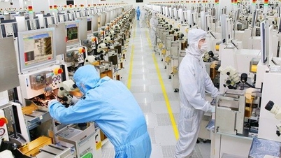 EU fears China is “weaponizing” critical materials
