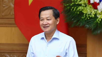 Completing the plan to completely handle the Dung Quat Shipyard project